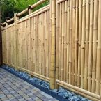 Creative Bamboo Fence Ideas You’ll Love | Home Design, Garden ...