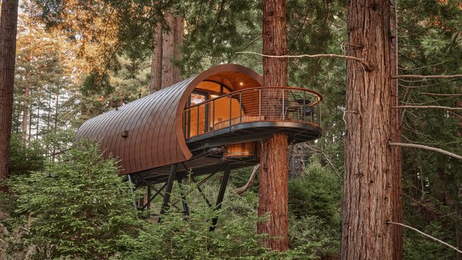 Artistree Raises a Telescopic Treehouse in California | Home Design ...