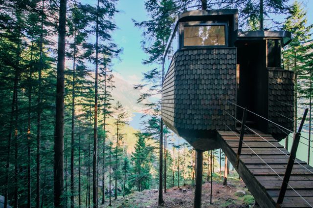 Sleep in a Cosy Norwegian Forest Treehouse Overlooking a Fjord