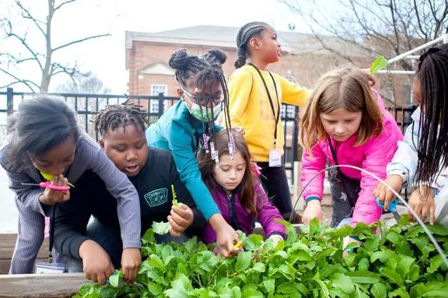 Getting School Kids Gardening Pays Off for Eating Habits | Home Design ...