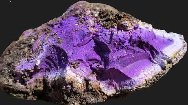 Archeologists Unearth a Rare Purple Pigment That Is More Valuable Than ...