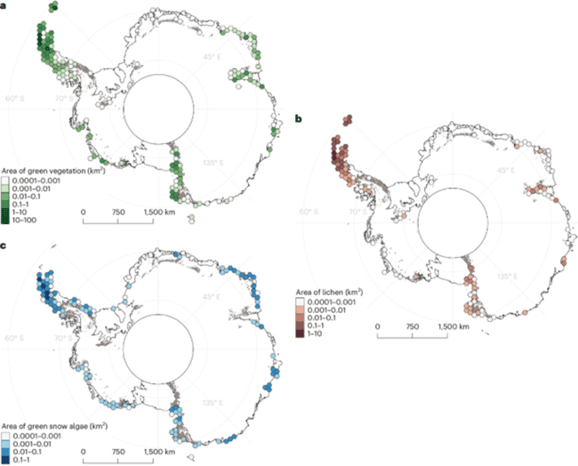 Antatica Time Changes All of Antarctica’s Plant Life Is Mapped for the First Time and Shows ...